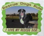 Rescue Dogs Rule Design
